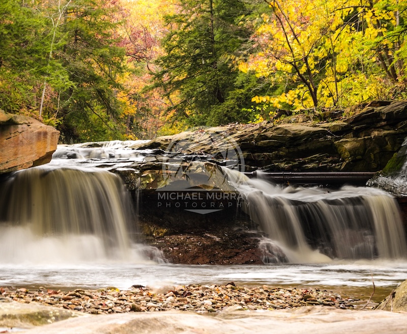 Brecksville Reservation photo of Chippewa Creek Gorge in Cleveland Metroparks