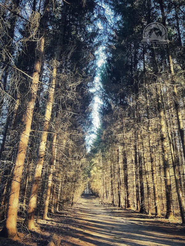 Summit County - Tree Farm Trail in Peninsula, Ohio