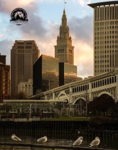 I hung out with feathered friends in the Flats at sunrise at Heritage Park.