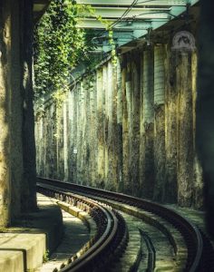 Shot through a fence the the Flats where the RTA track extends from the Terminal Tower. I love the greenery.