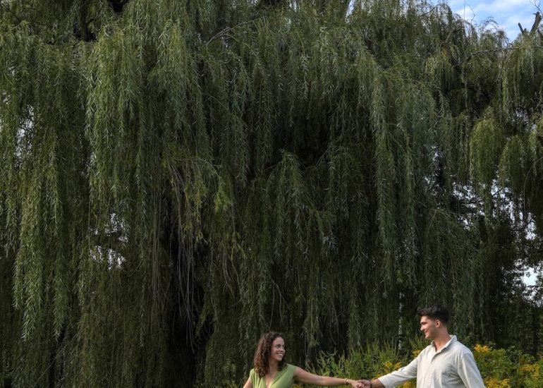 Portrait of an engaged couple holding hands beneath the willow tree at Vermilion Valley Vineyards.