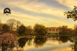 Sometimes the sky and morning light work well together at Wade Oval by the Cleveland Museum of Art.