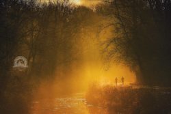 As I changed settings to capture the light in Valley View, two runners emerged on the Towpath on a November morning.